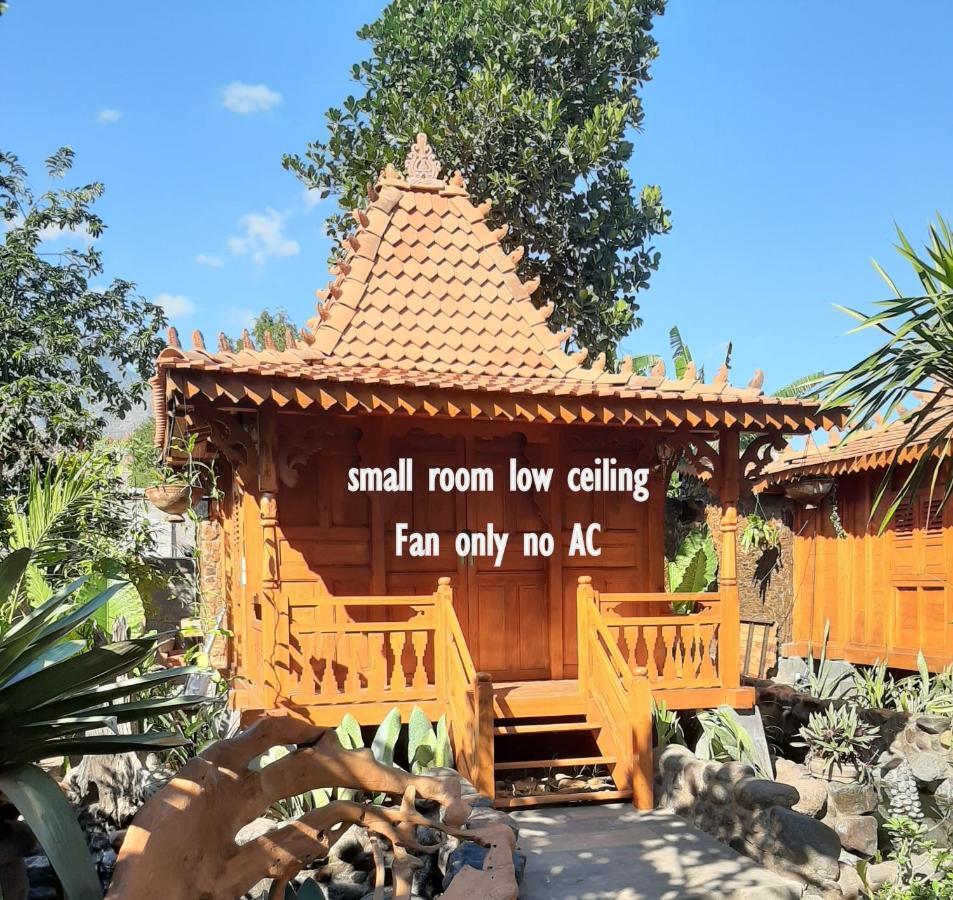 Hibiscus House Pemuteran Bali Otel Dış mekan fotoğraf